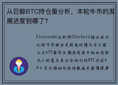 从巨鲸BTC持仓量分析，本轮牛市的发展进度到哪了？