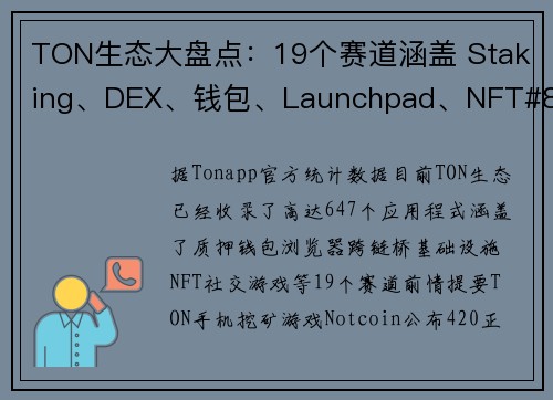 TON生态大盘点：19个赛道涵盖 Staking、DEX、钱包、Launchpad、NFT#823